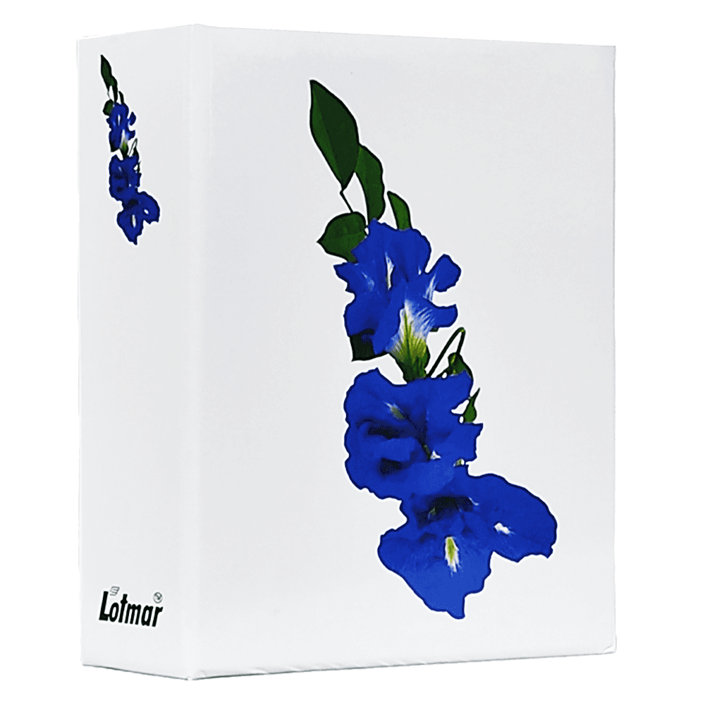 Album Biały 01