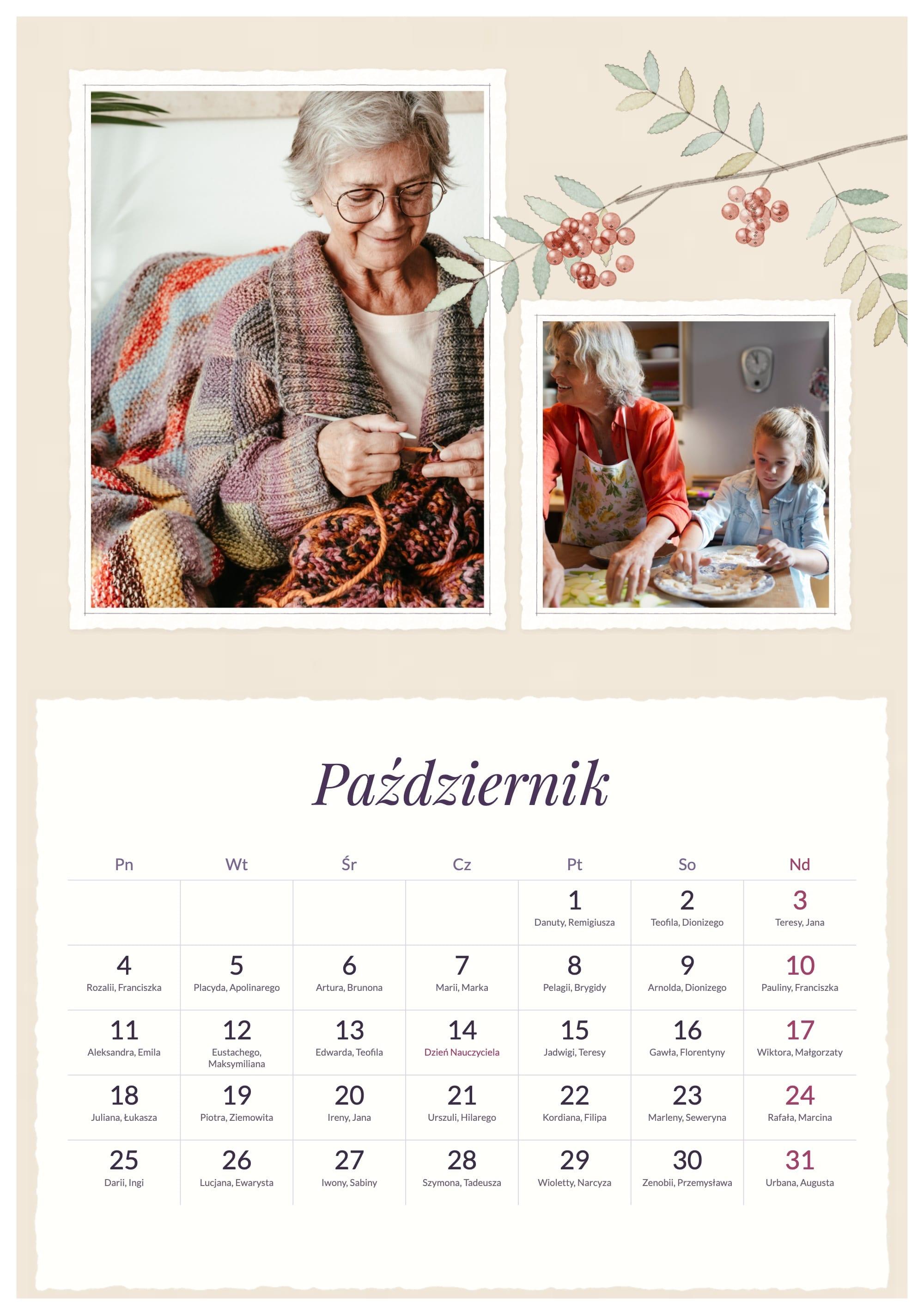 Fotokalendář Fialky